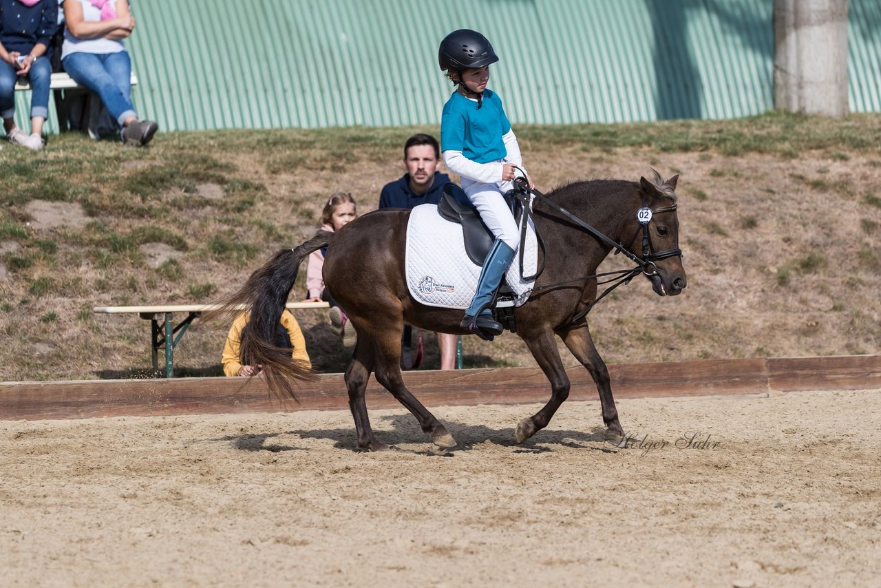 Bild 137 - Pony Akademie Turnier